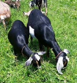 11143420_979643425401208_7192012510760834388_n (2)