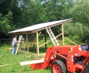 Rus building the horse shed
